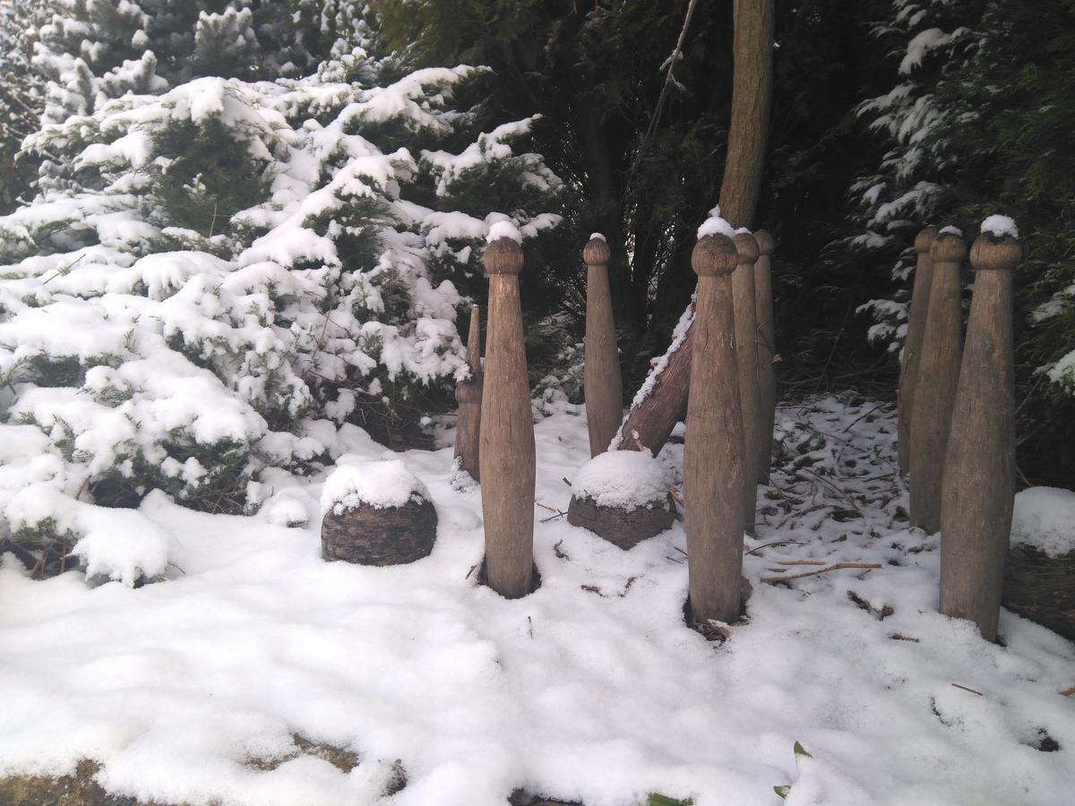 Posada La Cotia Helguera  المظهر الخارجي الصورة